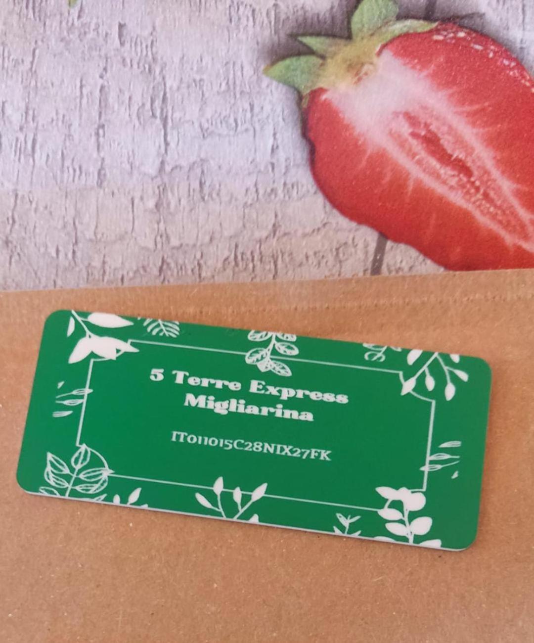 5 Terre Express Migliarina Lejlighed La Spezia Eksteriør billede